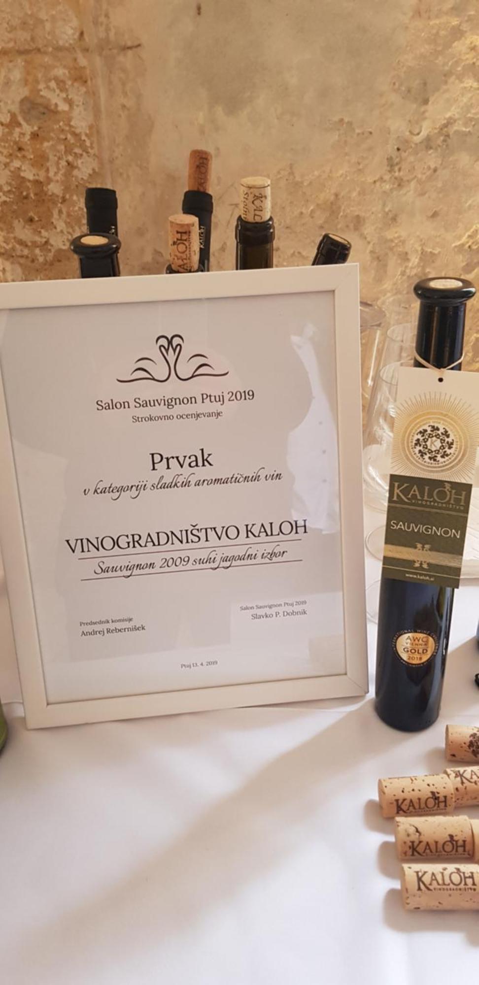 Villa Wine House Kaloh Máribor Exterior foto
