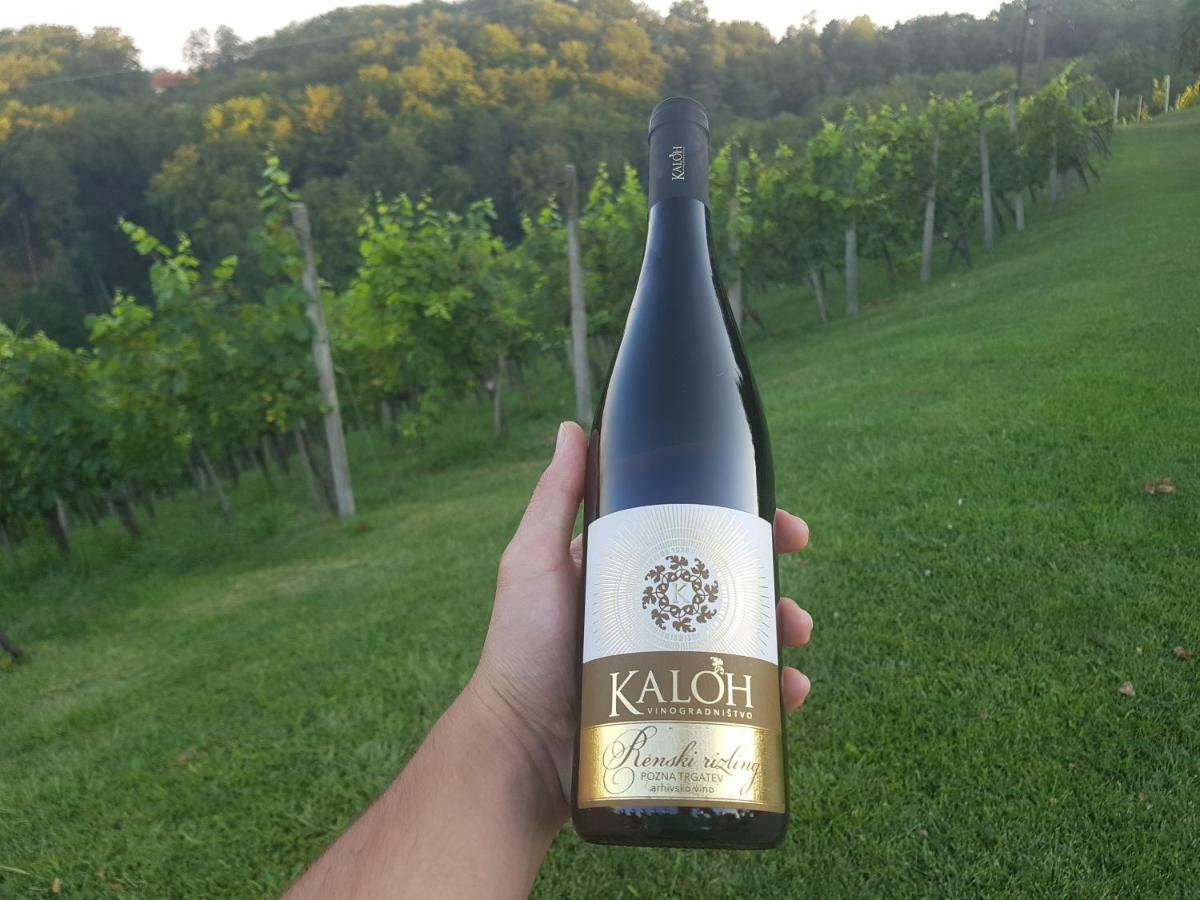 Villa Wine House Kaloh Máribor Exterior foto