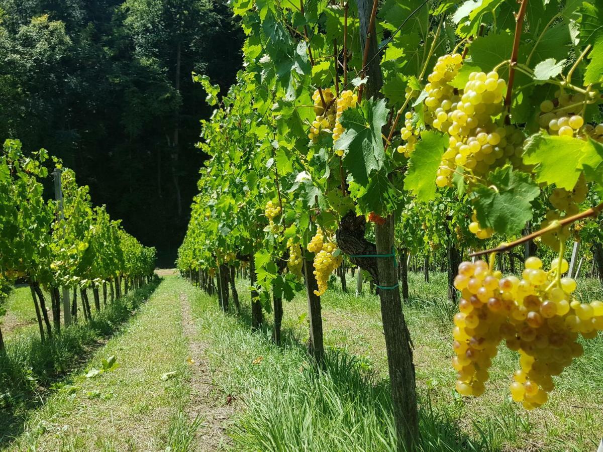 Villa Wine House Kaloh Máribor Exterior foto