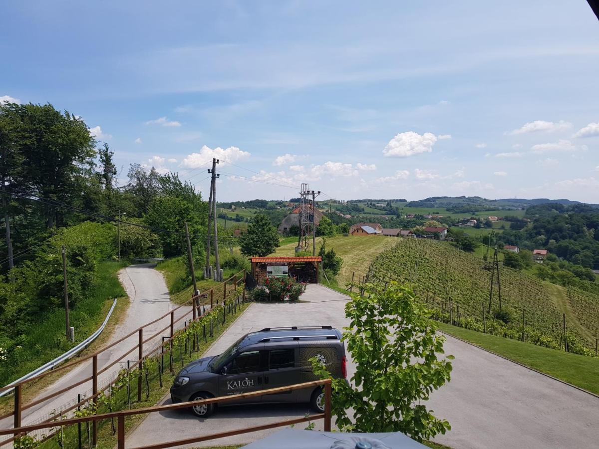 Villa Wine House Kaloh Máribor Exterior foto